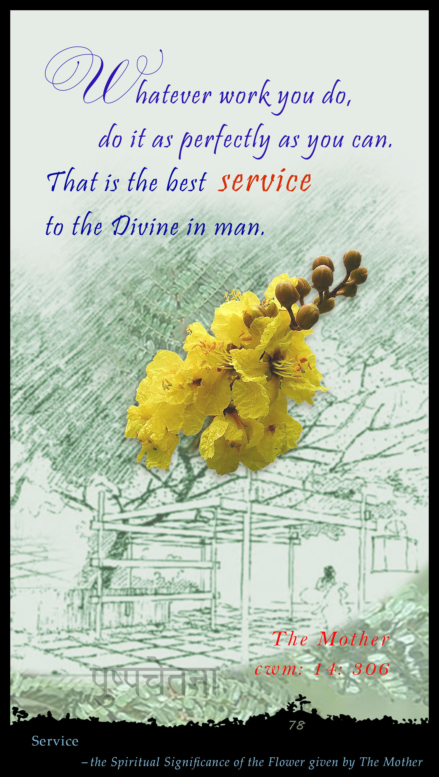 Service